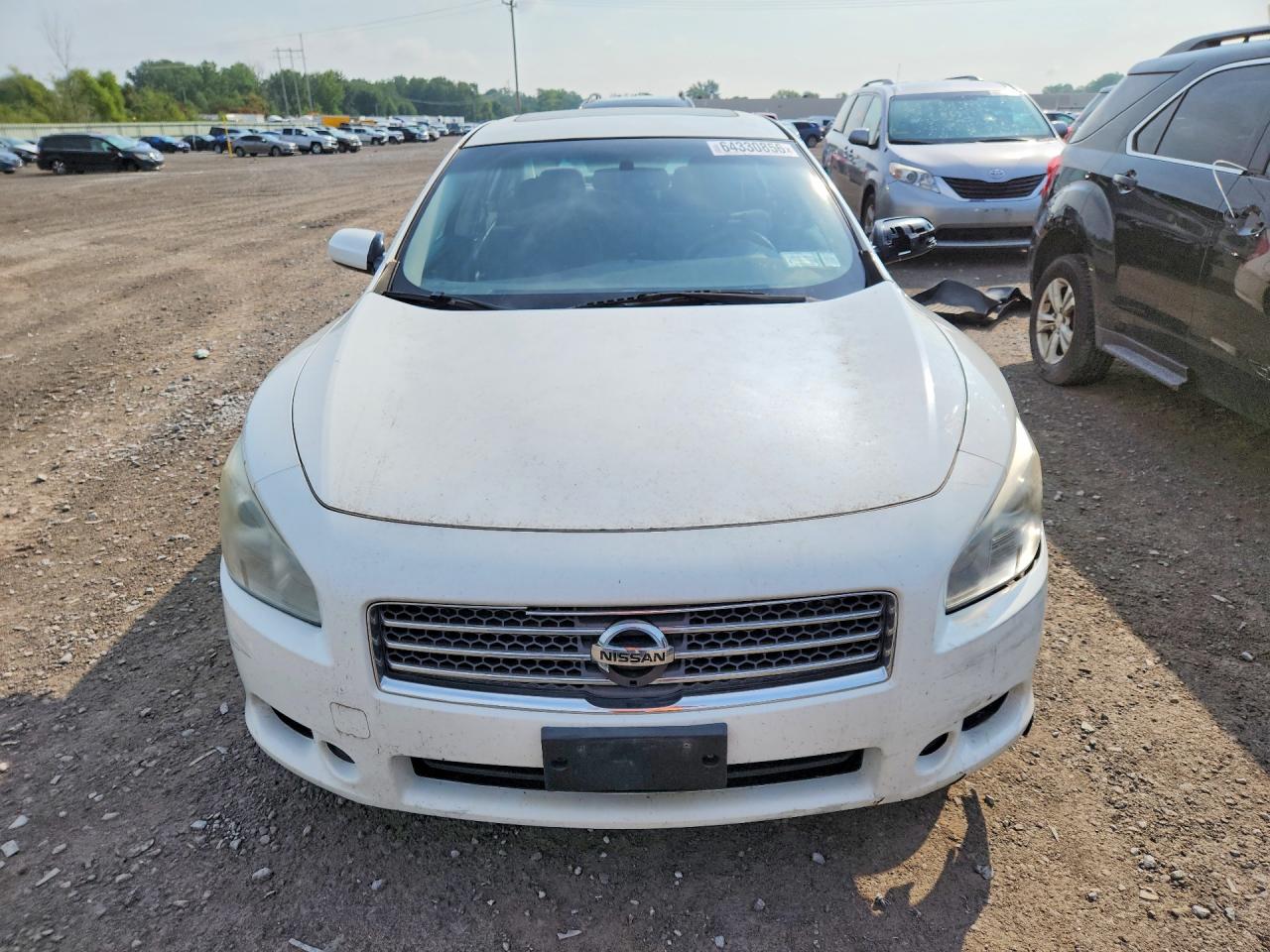 2009 Nissan Maxima 3.5 S White vin: 1N4AA51E29C829954