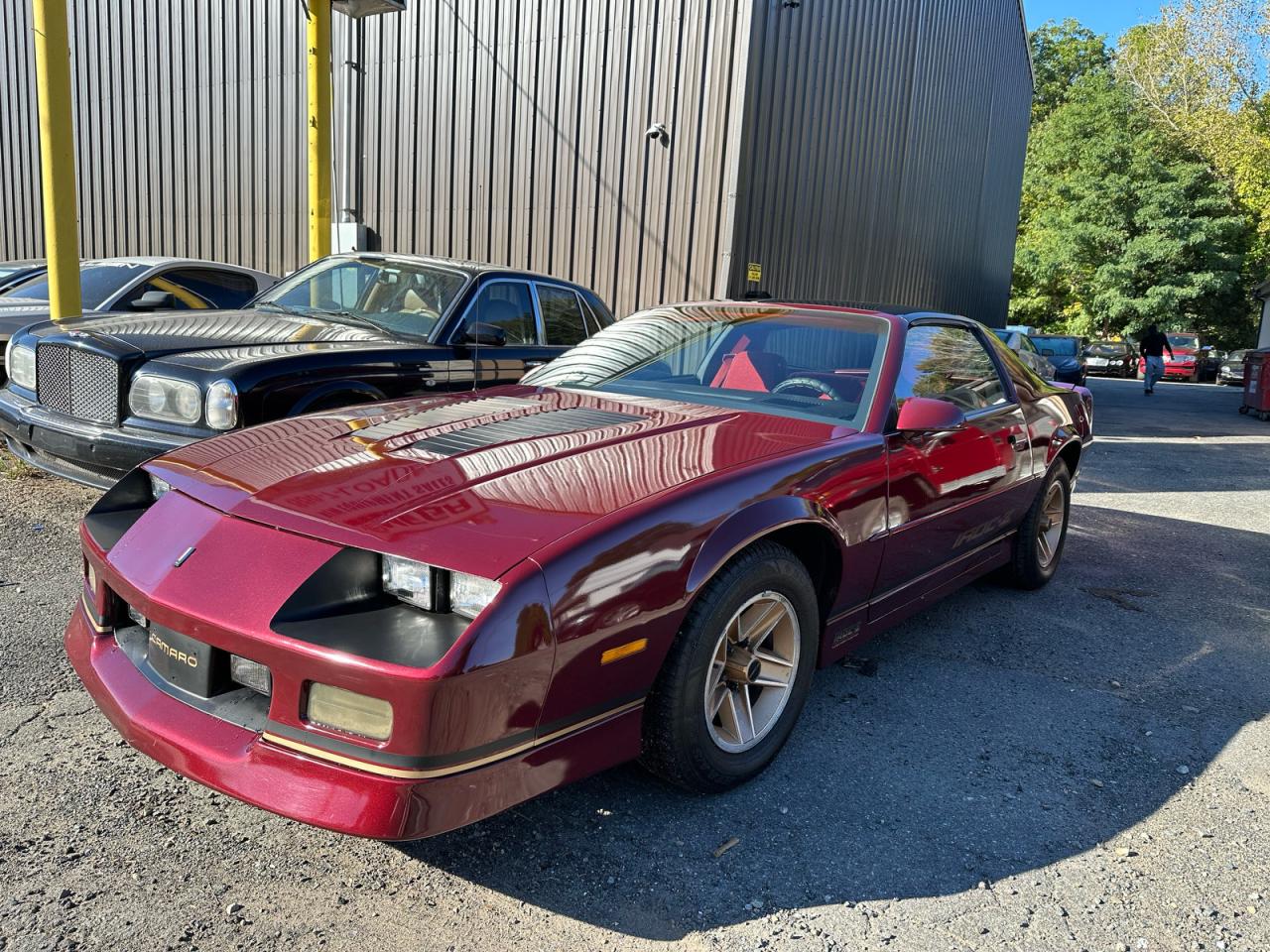 1988 Chevrolet Camaro Burgundy vin: 1G1FP21F1JL138014