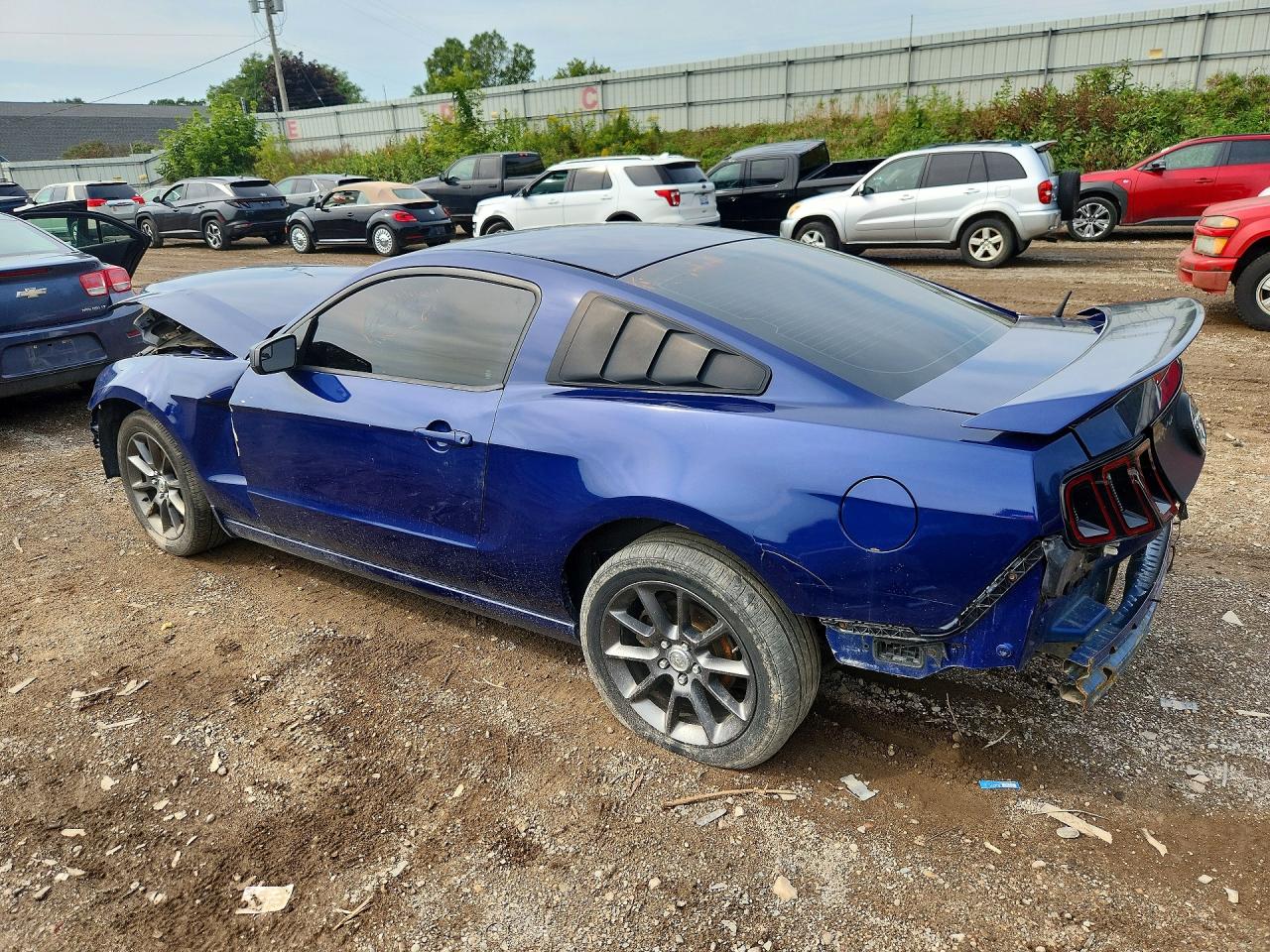 2013 Ford Mustang Blue vin: 1ZVBP8AM1D5266637