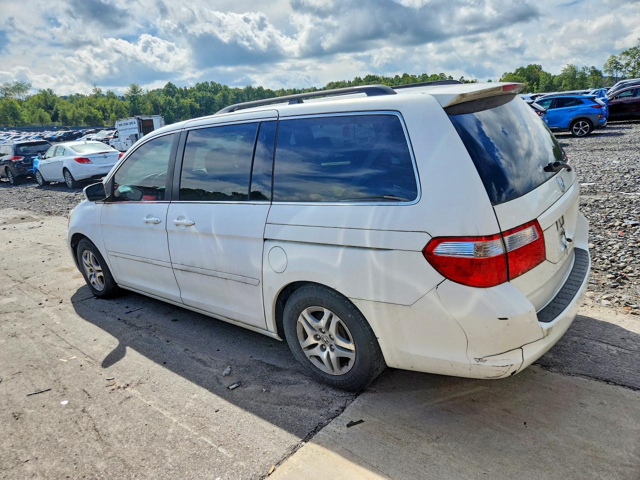 2006 Honda Odyssey Exl White vin: 5FNRL38616B428534