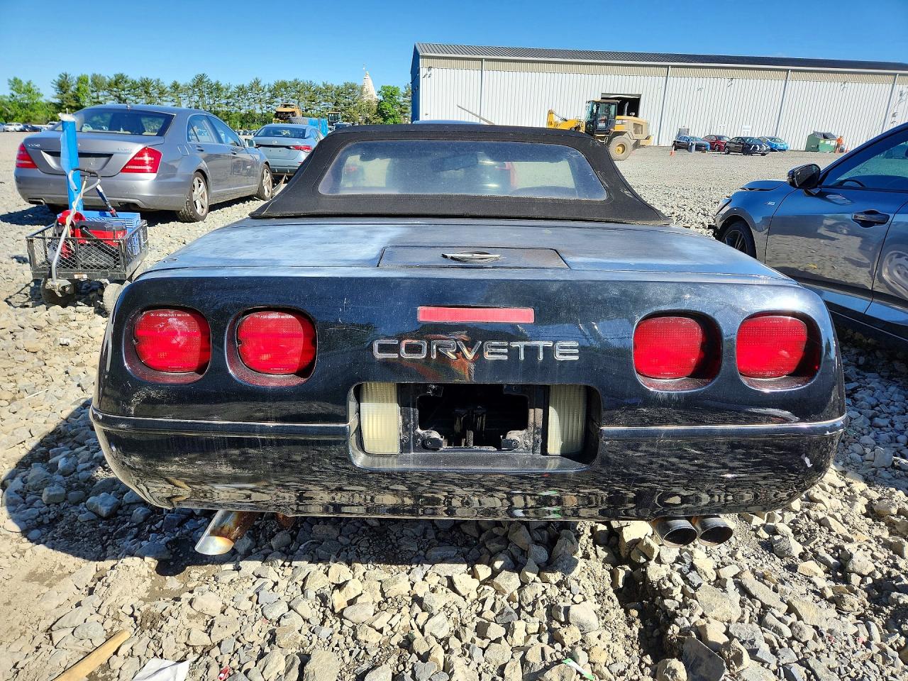 1992 Chevrolet Corvette Black vin: 1G1YY33P4N5109506