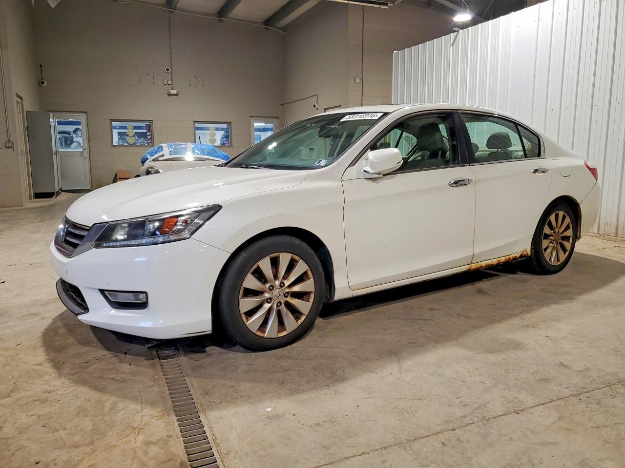 2013 Honda Accord Exl White vin: 1HGCR2F87DA176363