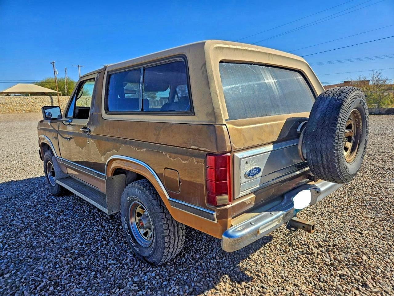 1983 Ford Bronco U100 Двухцветный vin: 1FMEU15G6DLA00090