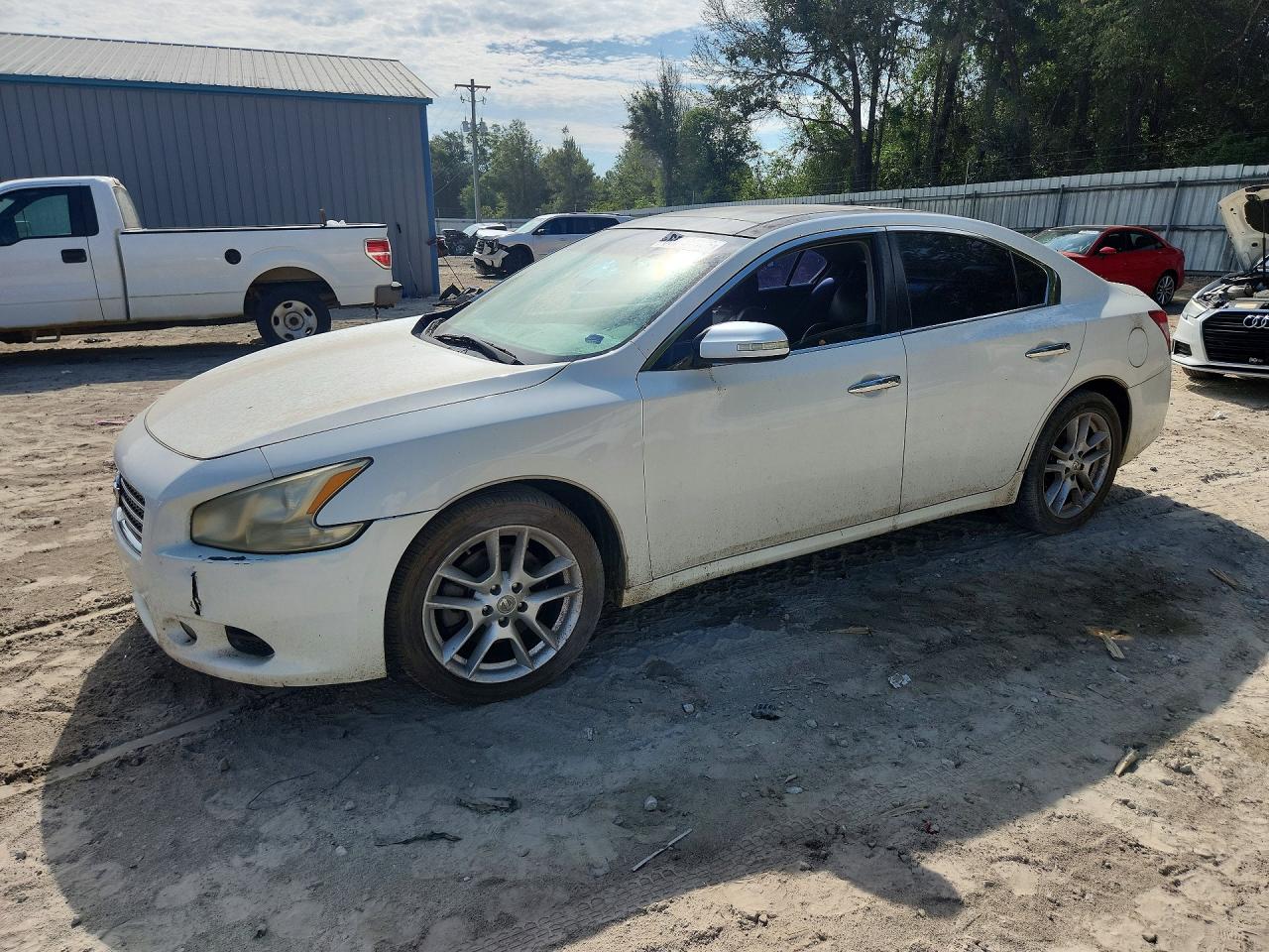 2009 Nissan Maxima 3.5 S Белый vin: 1N4AA51E39C833902