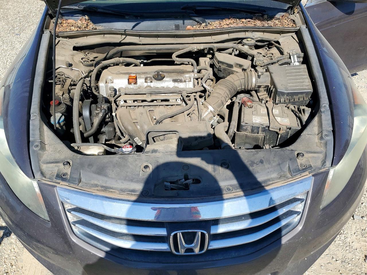 2011 Honda Accord Exl Gray vin: 1HGCP2F85BA088222