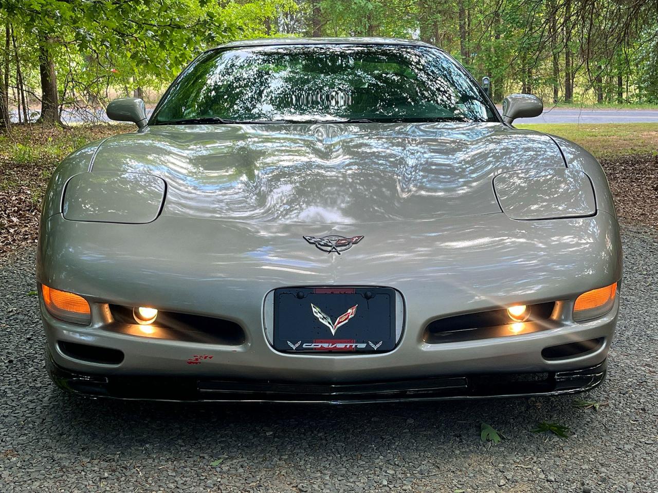 1998 Chev Corvette Silver vin: 1G1YY22G4W5128490