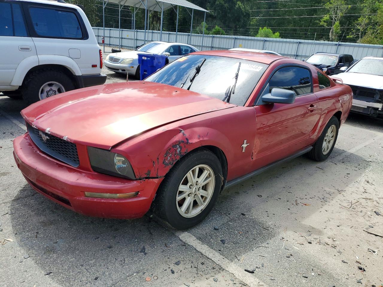 2005 Ford Mustang Red vin: 1ZVFT80N455157405