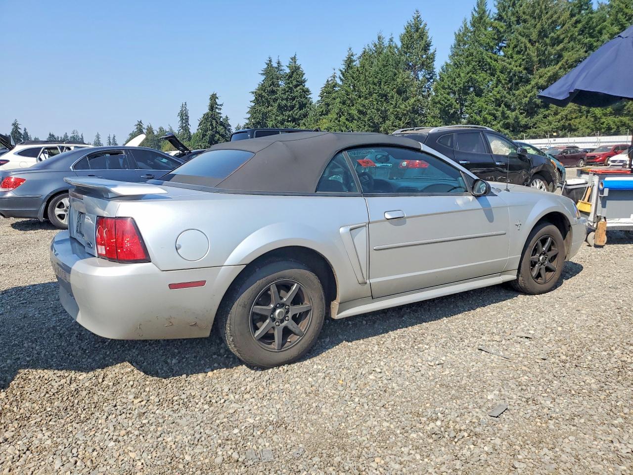 2001 Ford Mustang Silver vin: 1FAFP44491F194784