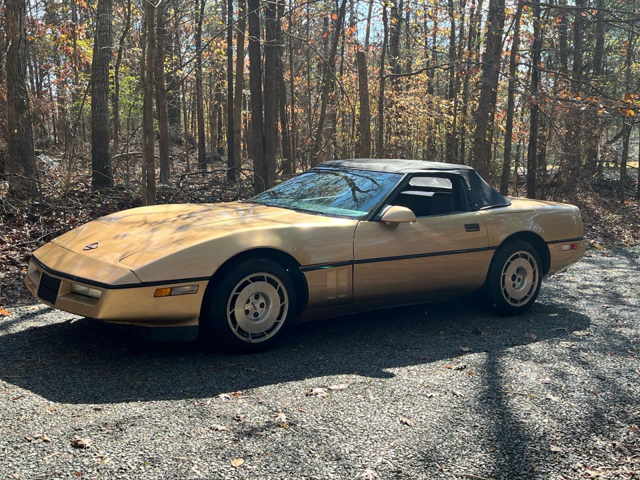 1986 Chevrolet Corvette Gold vin: 1G1YY6789G5902436