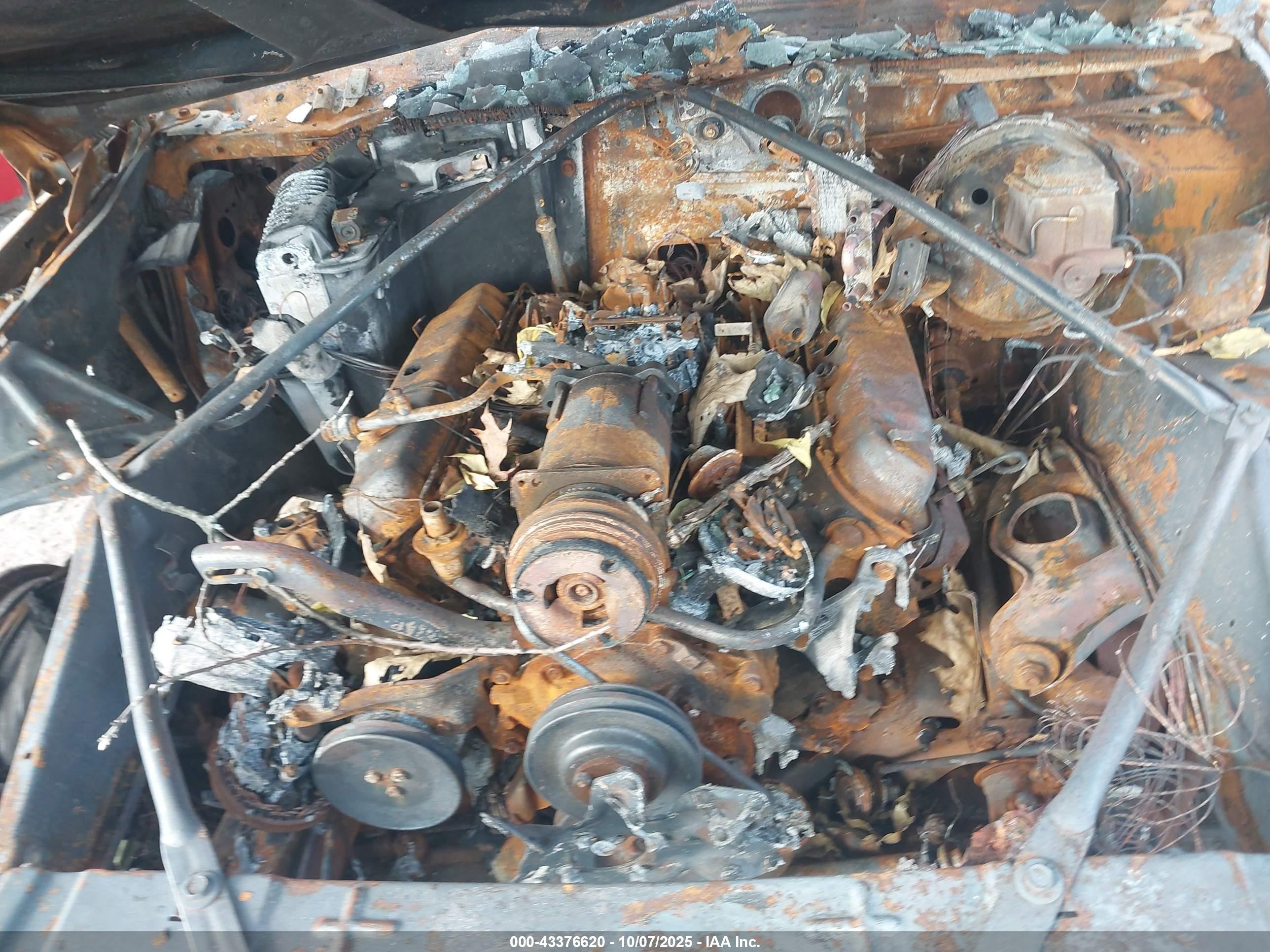 1978 Cadillac Deville   Бежевый vin: 6B69S8Q306547    