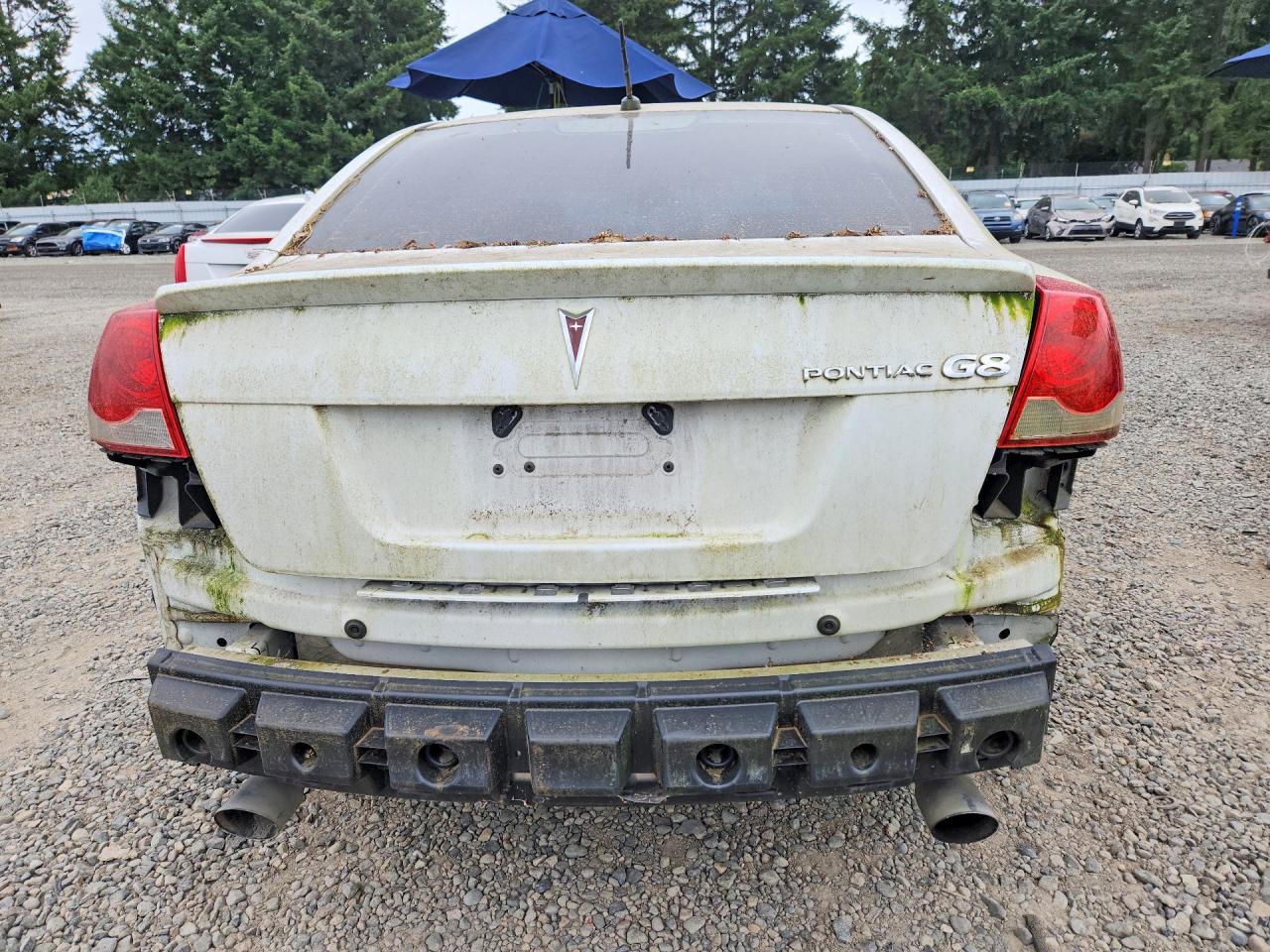 2008 Pontiac G8 White vin: 6G2ER57728L140290