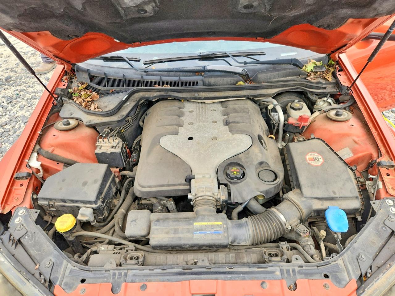 2008 Pontiac G8 Orange vin: 6G2ER57788L146885
