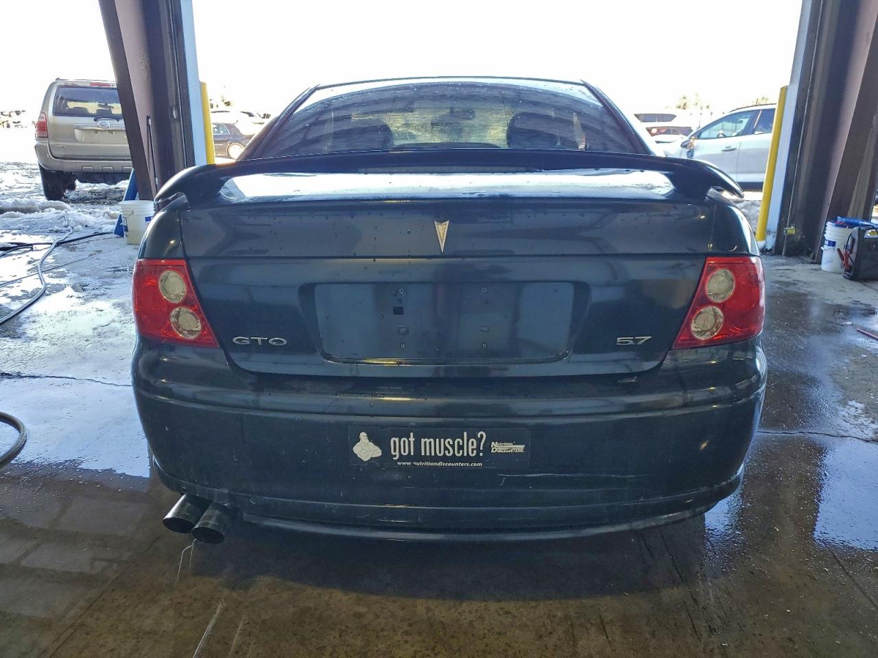 2004 Pontiac Gto Black vin: 6G2VX12G04L174521