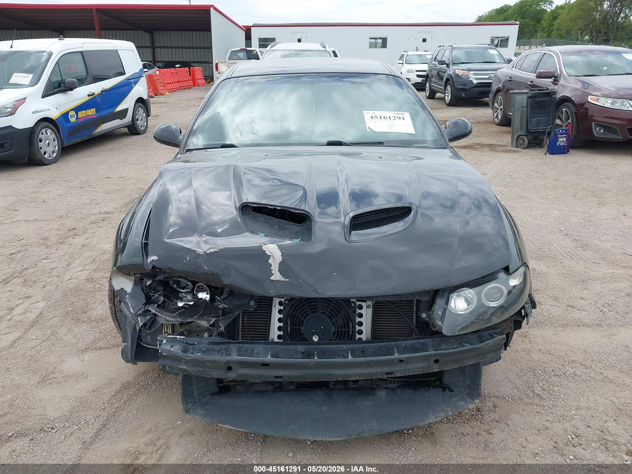 2004 Pontiac Gto   Black vin: 6G2VX12G24L250174