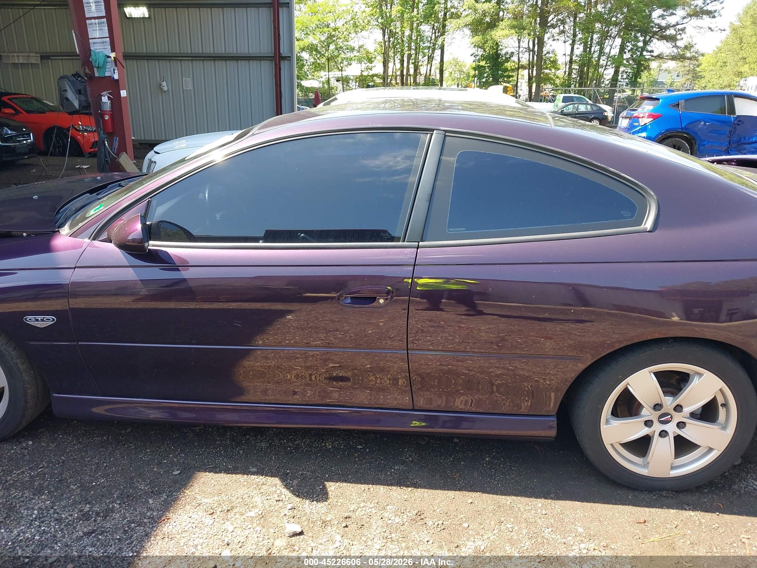 2004 Pontiac Gto   Purple vin: 6G2VX12G24L274491