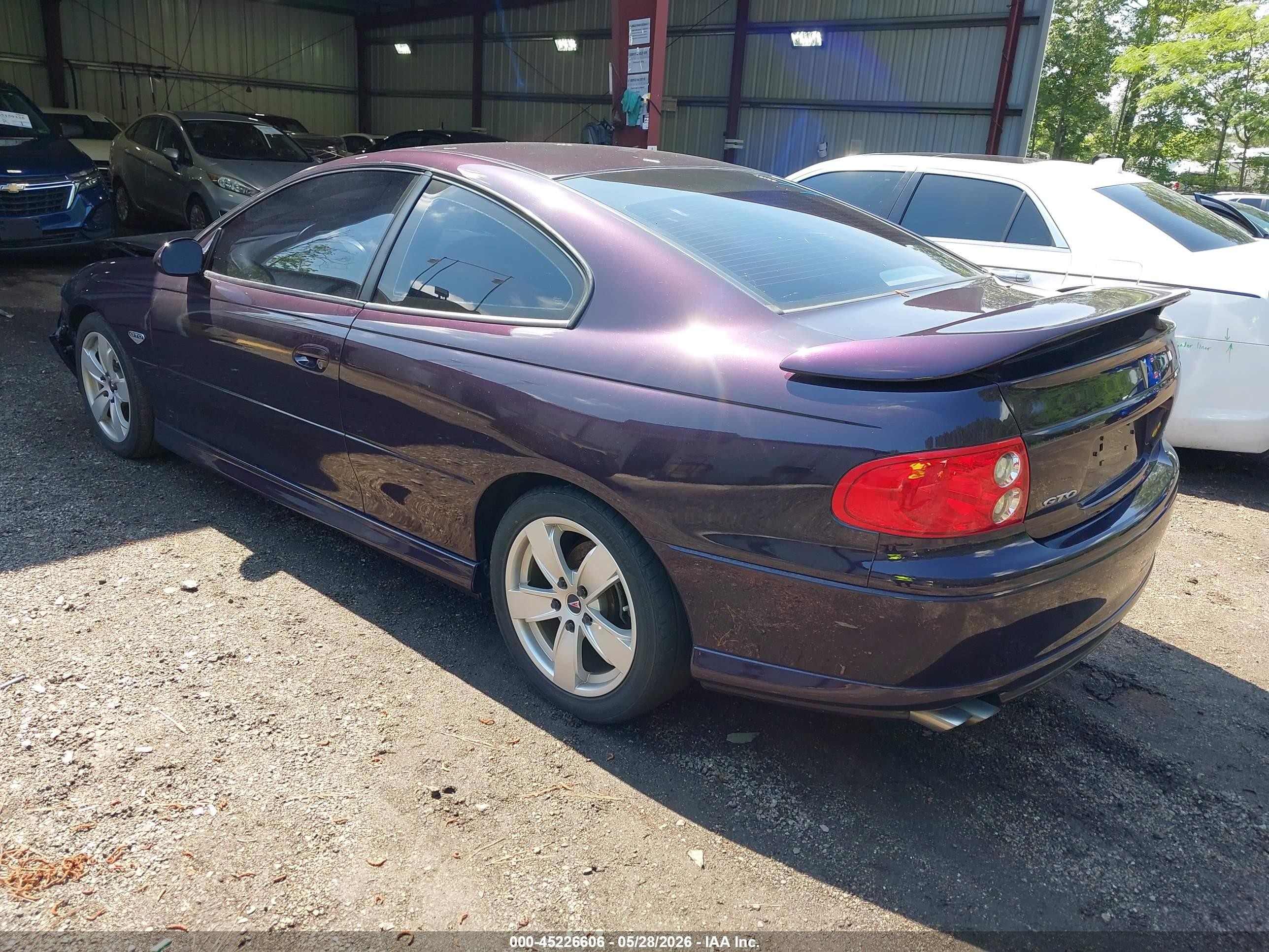 2004 Pontiac Gto   Purple vin: 6G2VX12G24L274491