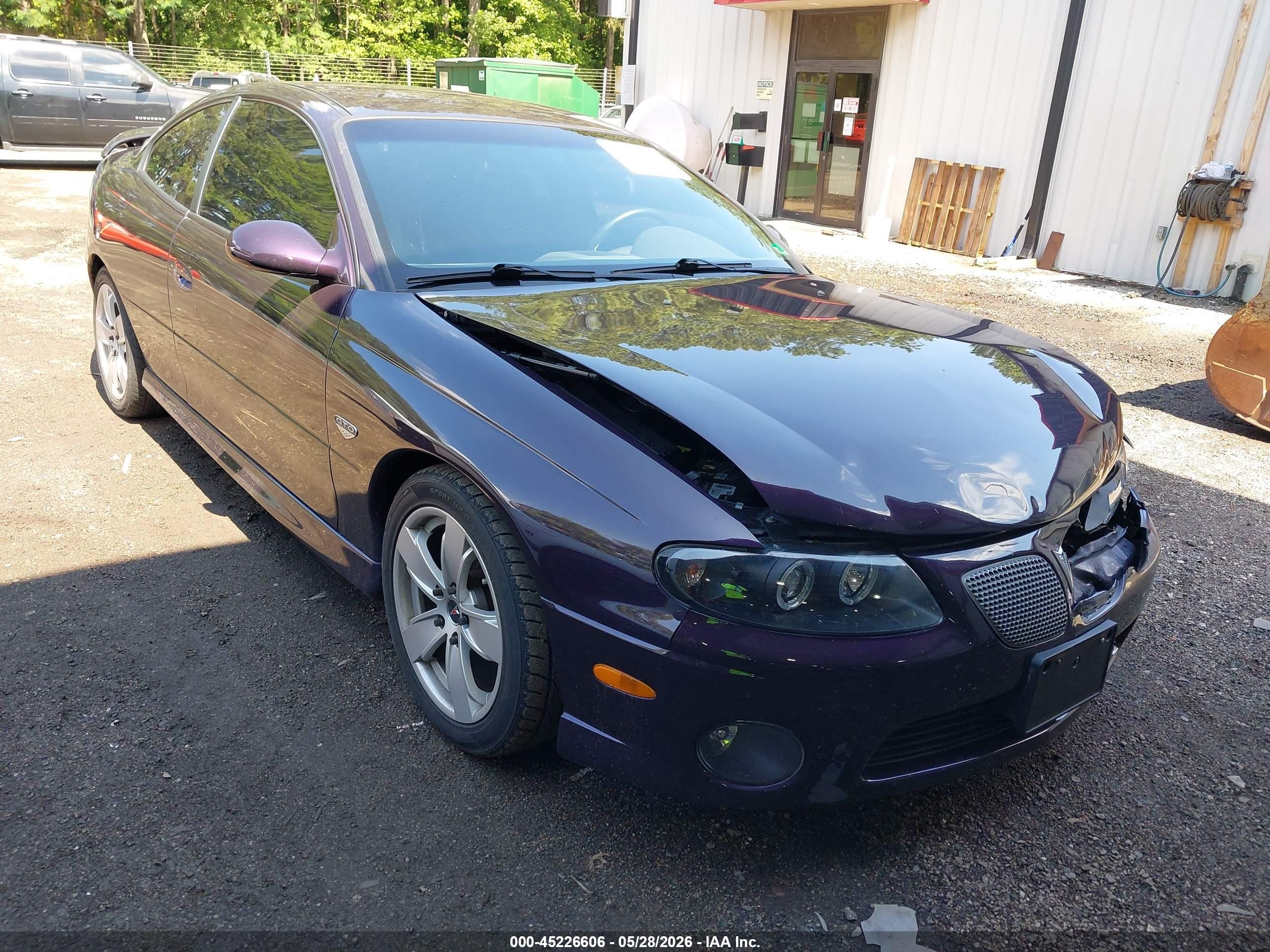 2004 Pontiac Gto   Purple vin: 6G2VX12G24L274491
