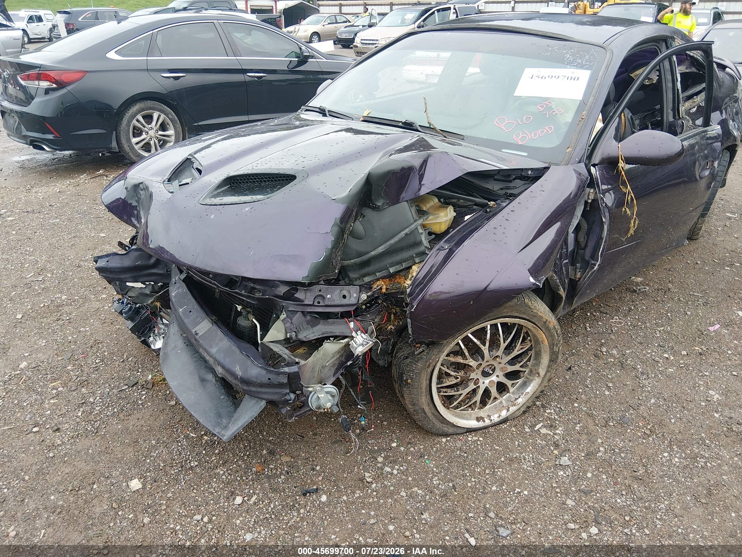 2004 Pontiac Gto   Purple vin: 6G2VX12G34L243153