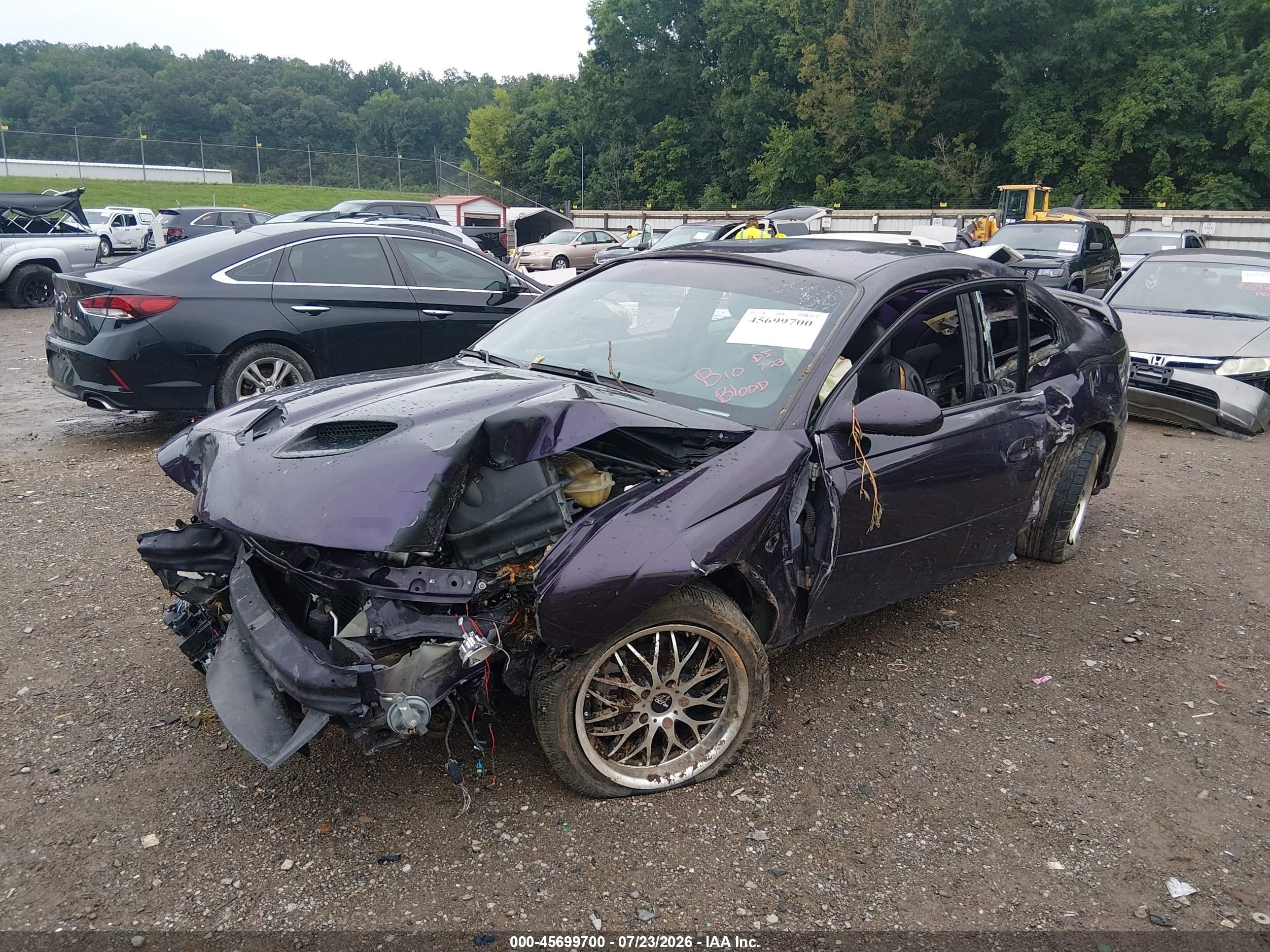 2004 Pontiac Gto   Purple vin: 6G2VX12G34L243153