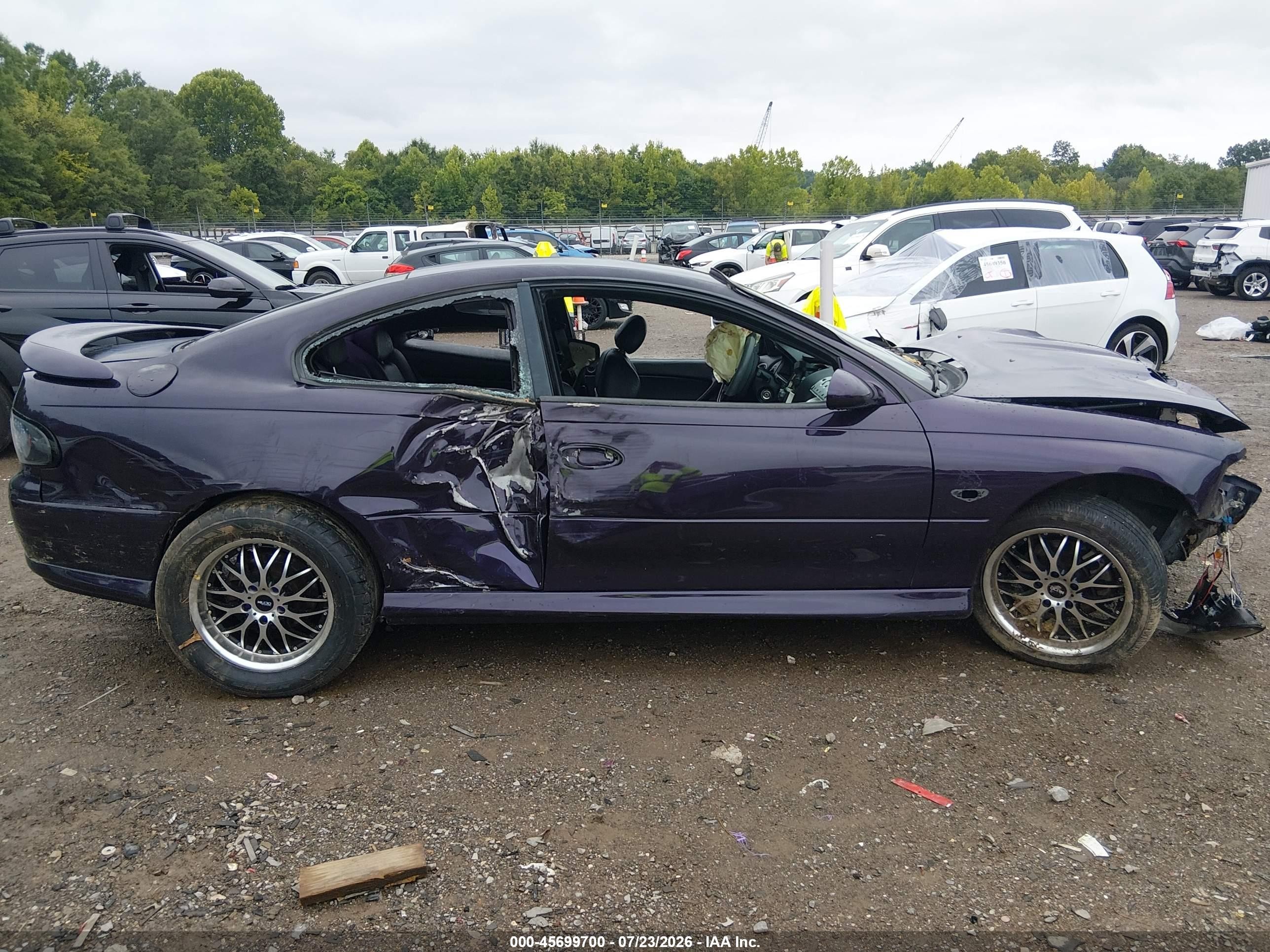 2004 Pontiac Gto   Purple vin: 6G2VX12G34L243153
