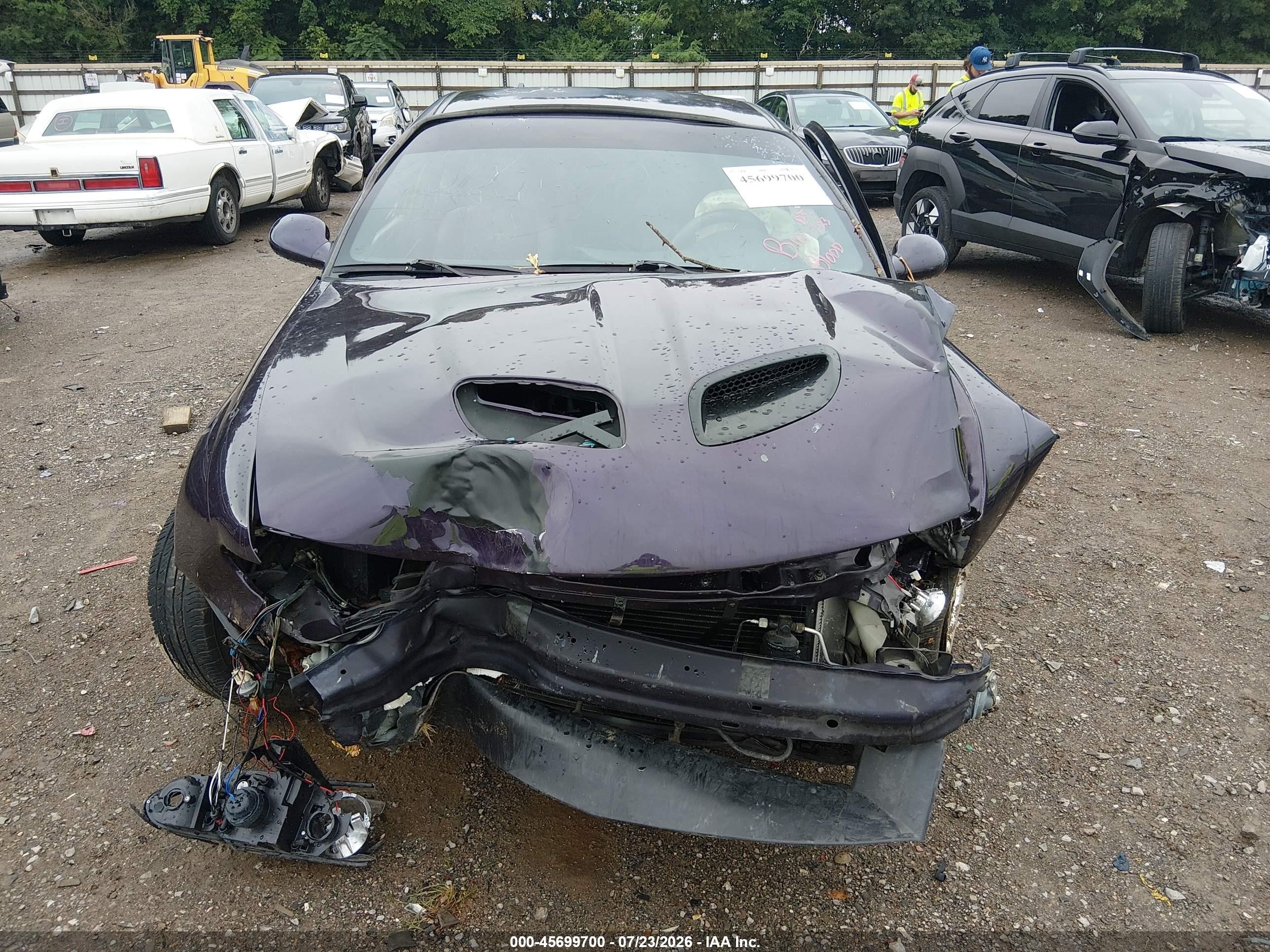 2004 Pontiac Gto   Purple vin: 6G2VX12G34L243153