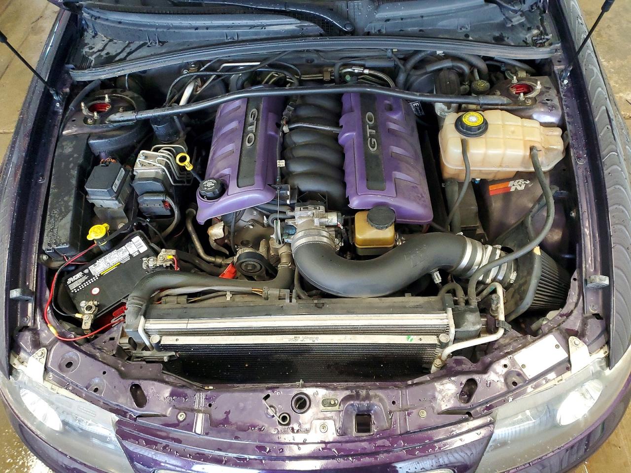 2004 Pontiac Gto Purple vin: 6G2VX12G44L211313