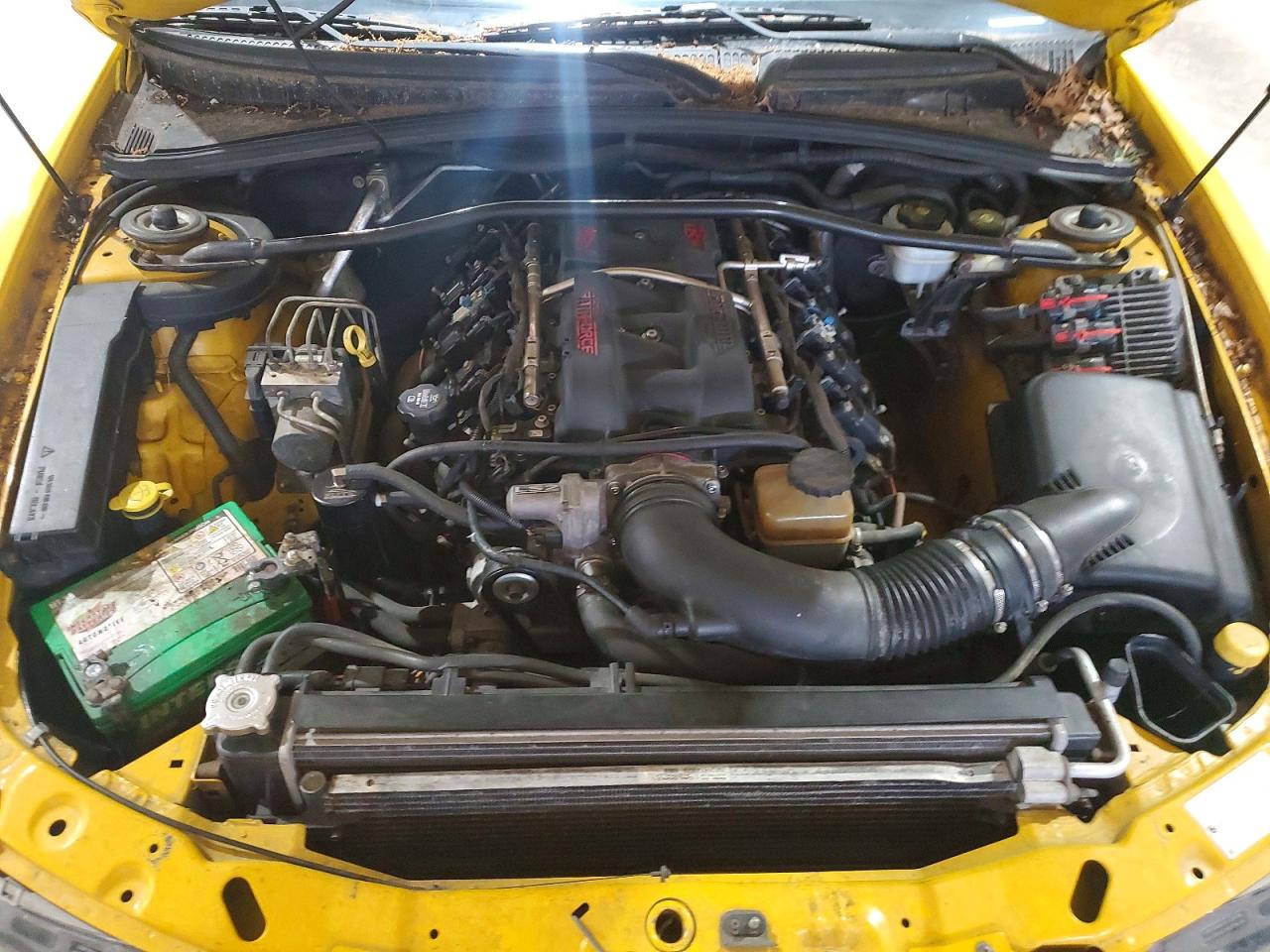 2005 Pontiac Gto Gold vin: 6G2VX12U05L408633