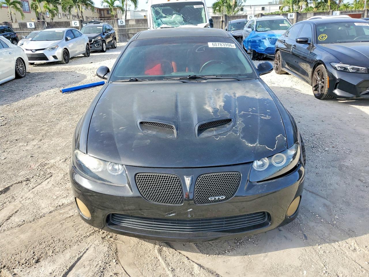 2006 Pontiac Gto Black vin: 6G2VX12U26L514566