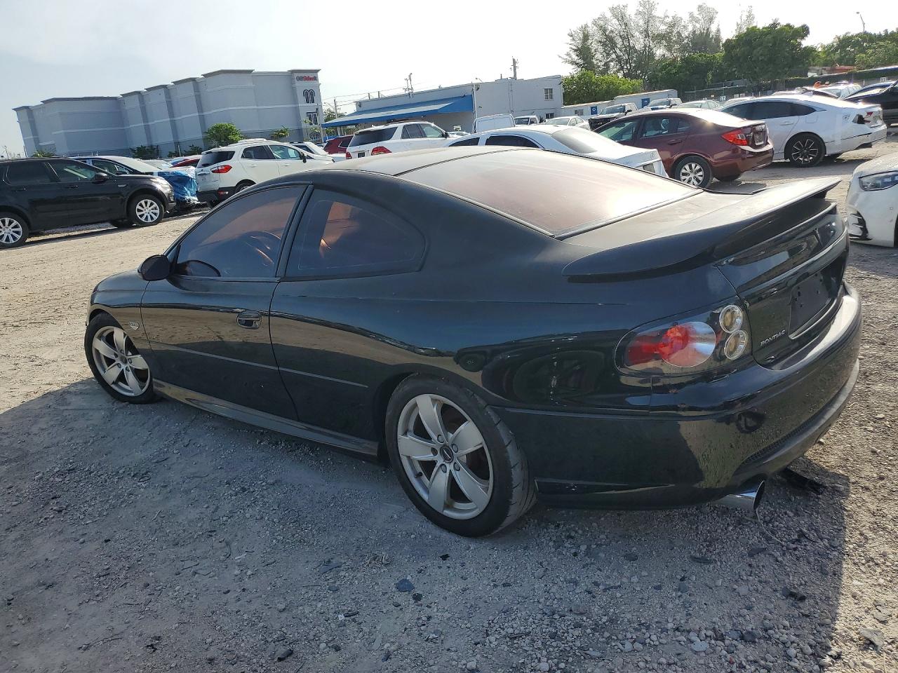 2006 Pontiac Gto Black vin: 6G2VX12U26L514566