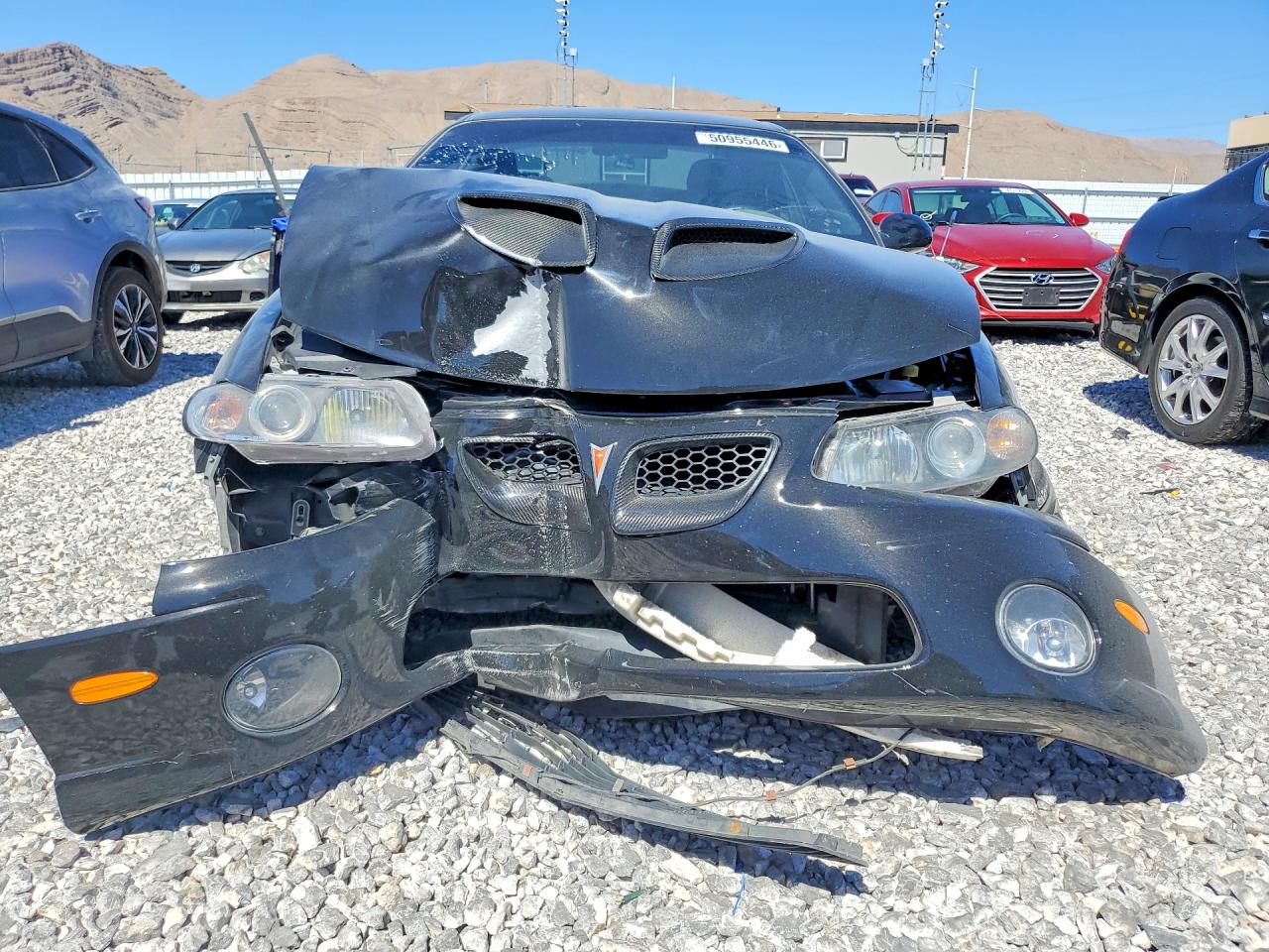 2006 Pontiac Gto Black vin: 6G2VX12UX6L810368