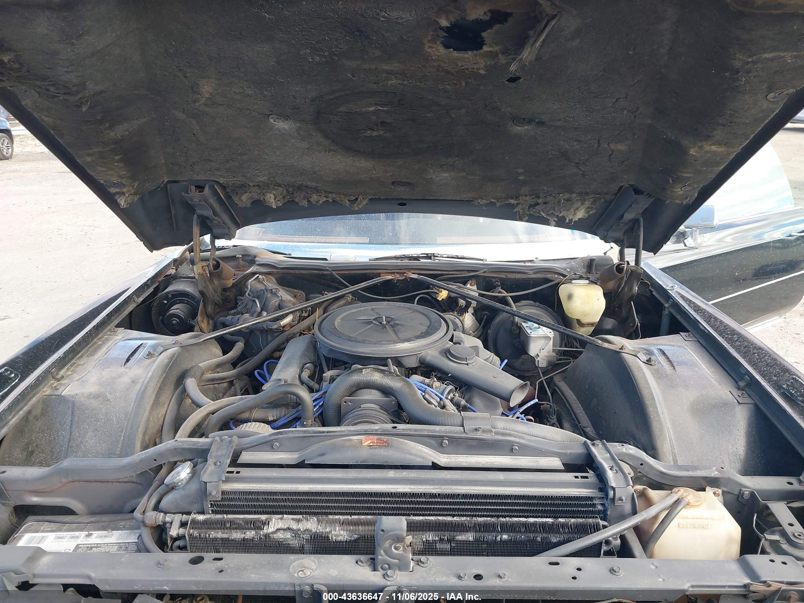 1972 Cadillac Eldorado   Black vin: 6L67S2Q419706    