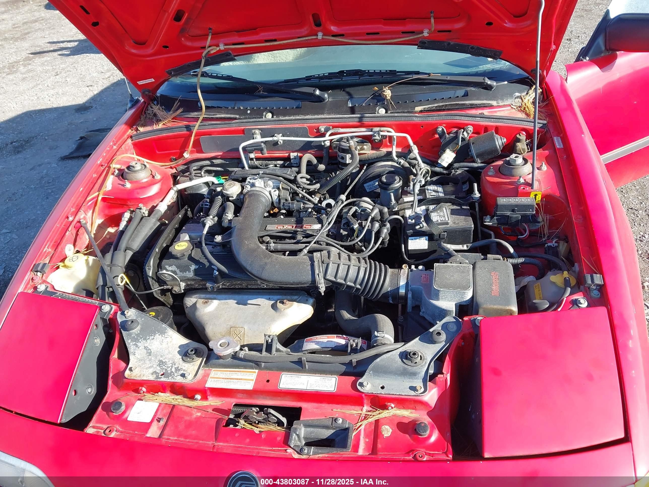 1991 Mercury Capri   Красный vin: 6MPCT01Z1M8621040