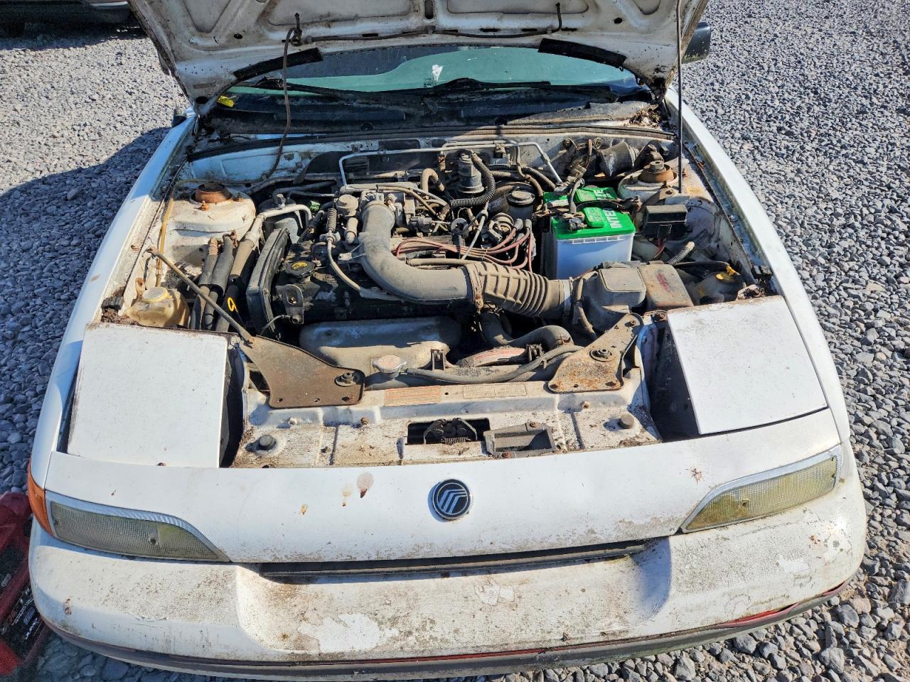 1991 Mercury Capri White vin: 6MPCT01Z4M8603034