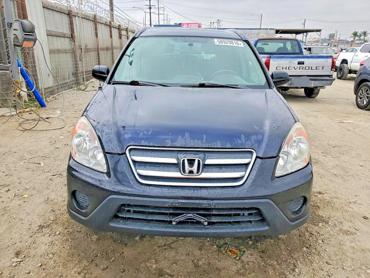 2006 Honda Cr-v Se Black vin: JHLRD789X6C012755