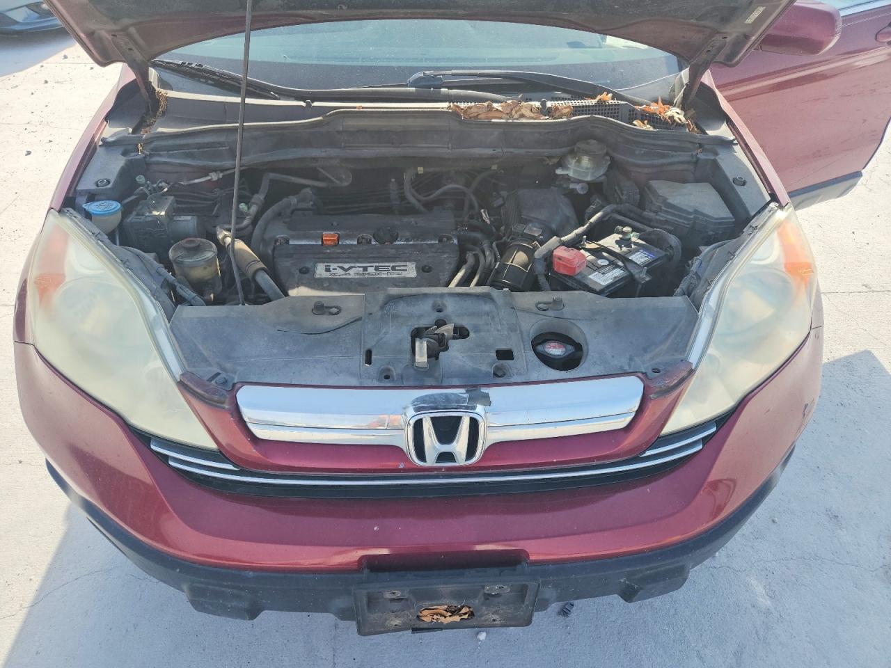 2009 Honda Cr-v Exl Темно-бордовый vin: 5J6RE38719L015981