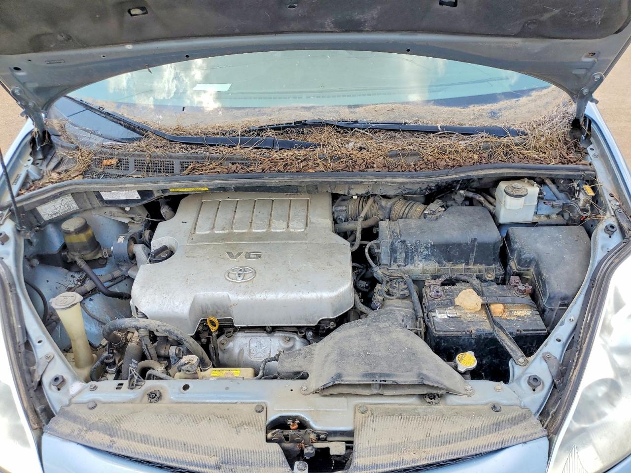 2009 Toyota Sienna Le 8-passenger Blue vin: 5TDZK23C99S246686