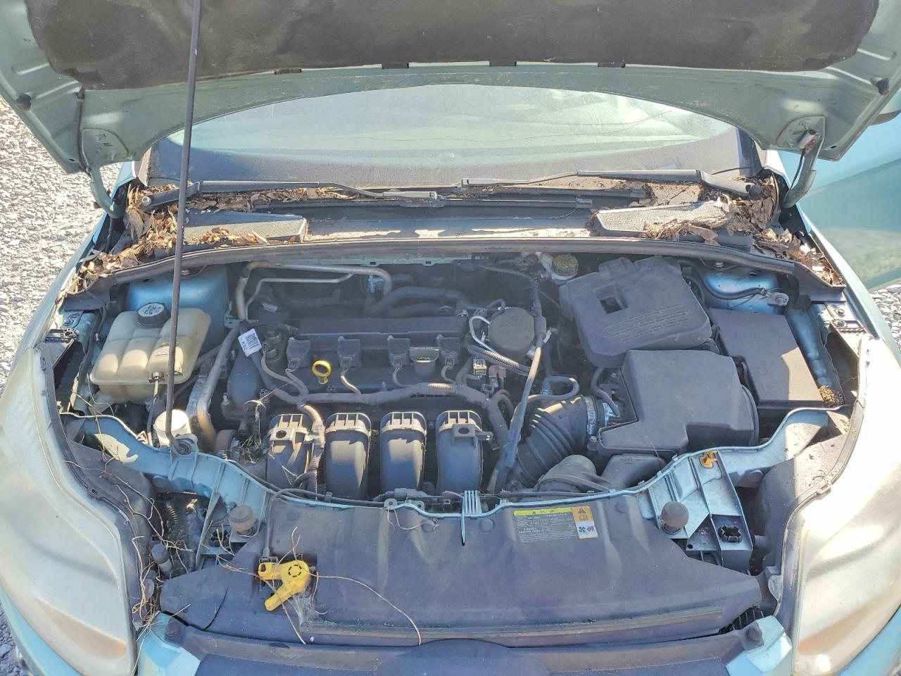 2012 Ford Focus Se Green vin: 1FAHP3F26CL122153