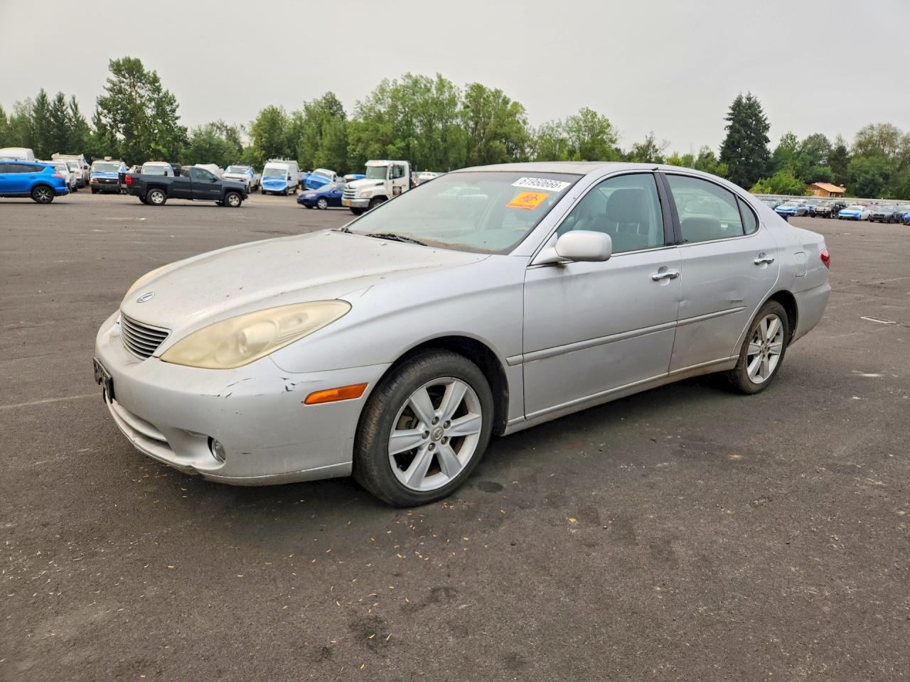 2005 Lexus Es 330 Silver vin: JTHBA30G255100694