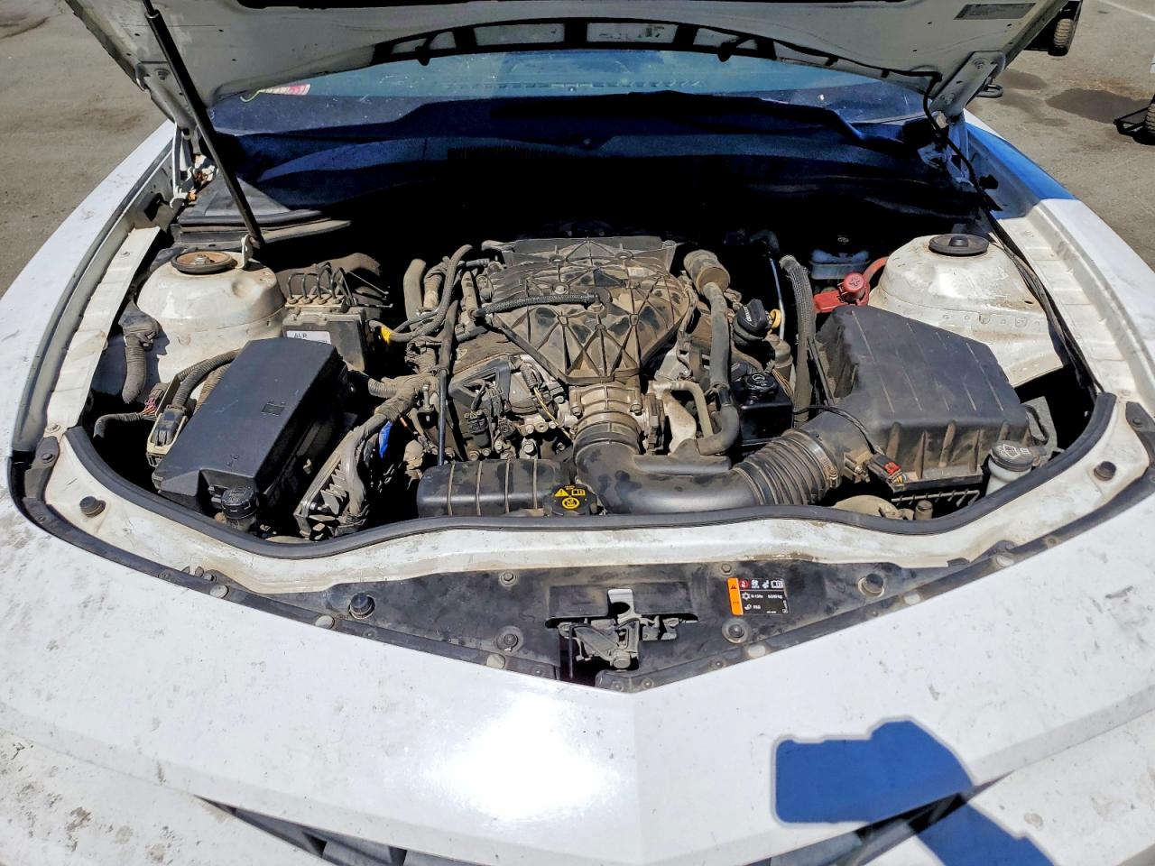 2013 Chevrolet Camaro Ls White vin: 2G1FE1E30D9181528