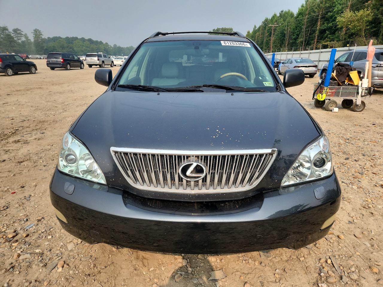2004 Lexus Rx 330 Gray vin: 2T2HA31U14C006447