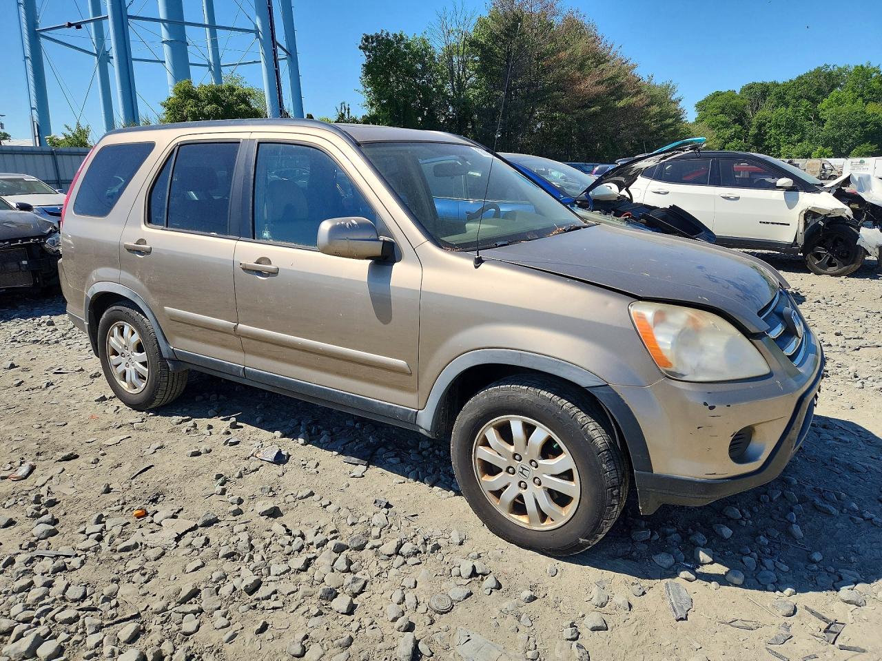 2006 Honda Cr-v Se Beige vin: JHLRD78966C034106