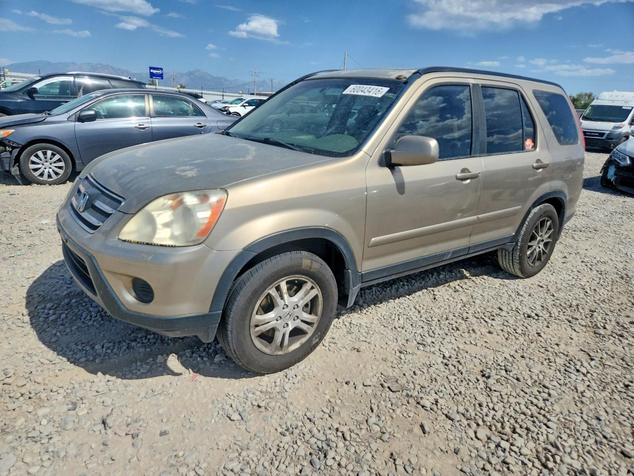 2005 Honda Cr-v Se Gold vin: JHLRD78995C036706