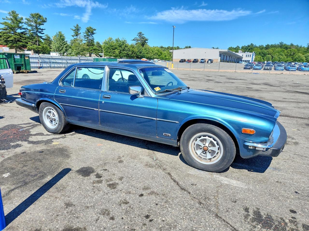 1985 Jaguar Xj6 Green vin: SAJAV1347FC411771