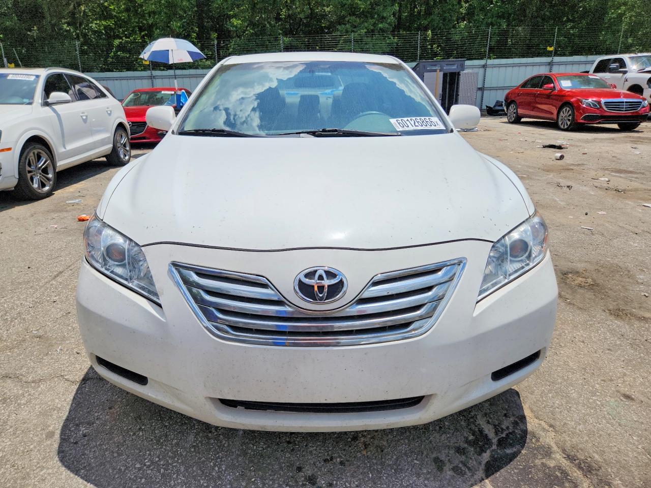 2009 Toyota Camry Base White vin: 4T1BE46KX9U917619