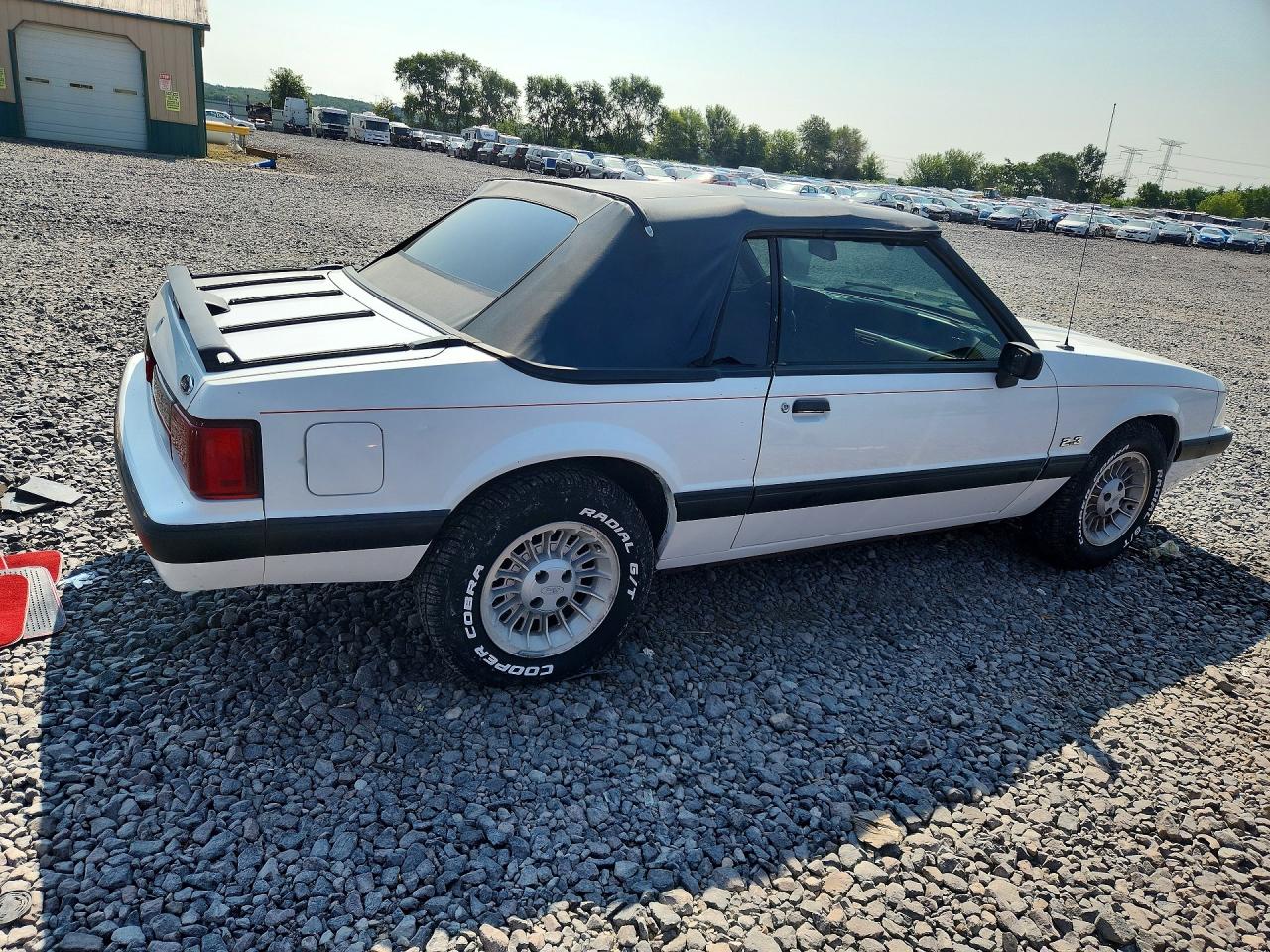 1988 Ford Mustang Lx Белый vin: 1FABP44A1JF161041