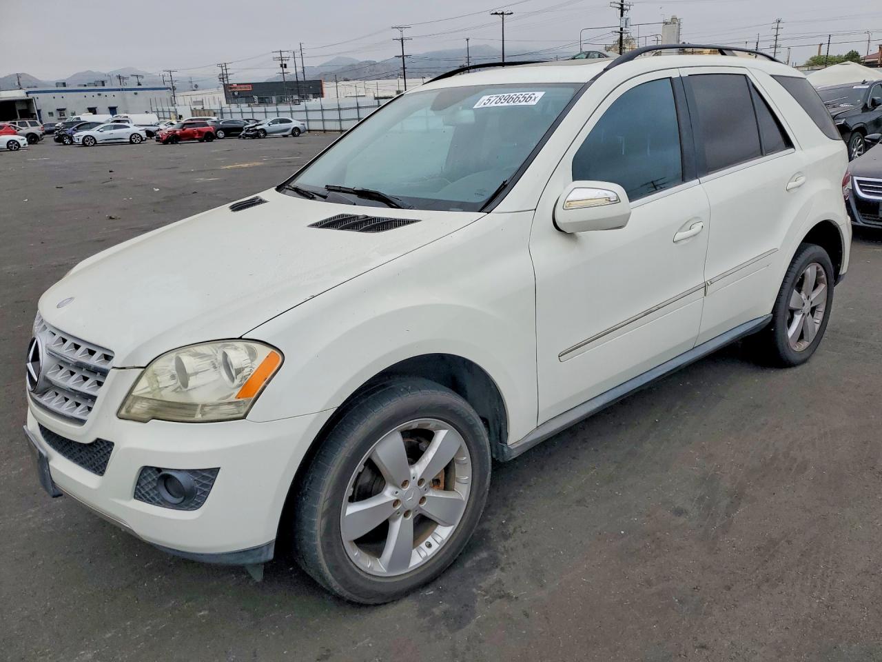 2010 Mercedes-benz Ml 350 White vin: 4JGBB5GB9AA537531