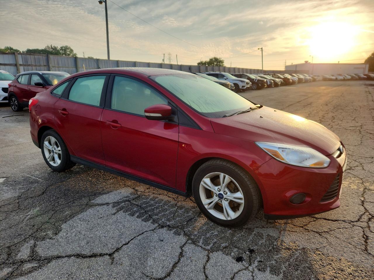 2014 Ford Focus Se Красный vin: 1FADP3F29EL439460