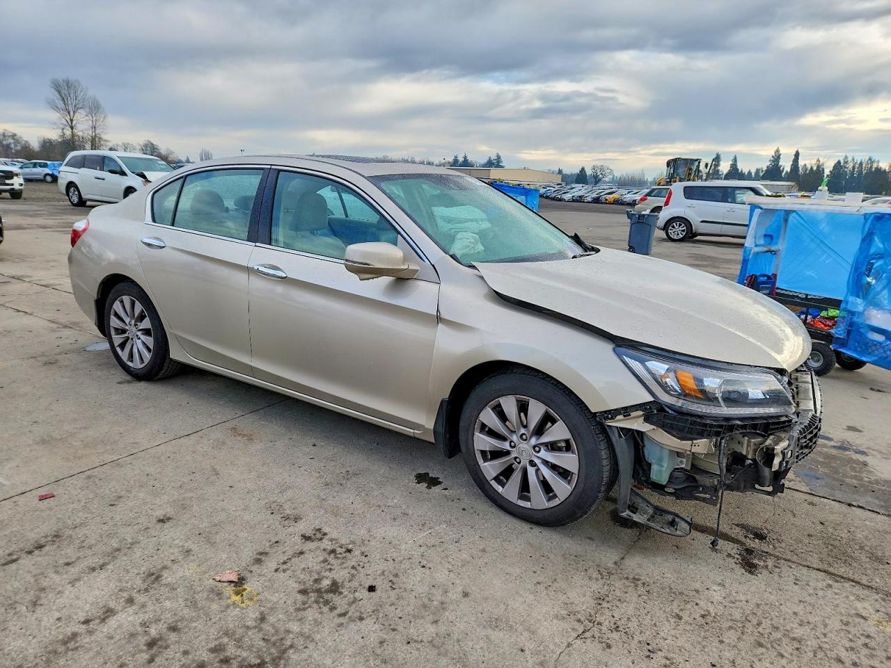 2014 Honda Accord Exl Gold vin: 1HGCR2F89EA165334