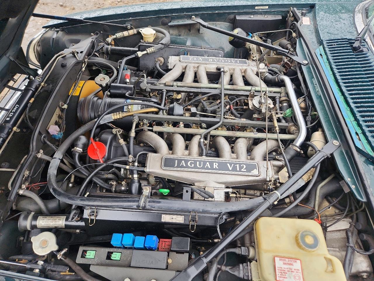 1992 Jaguar Xjs Green vin: SAJNW5841NC180802