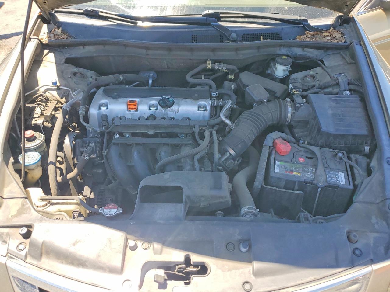 2010 Honda Accord Lx Золотой vin: 1HGCP2F34AA145920